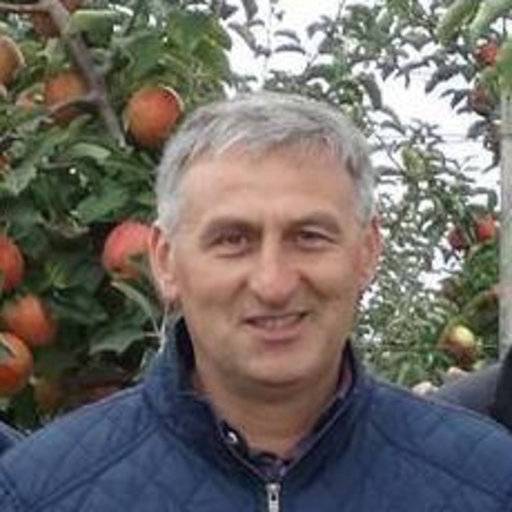 Zviad Bobokashvili