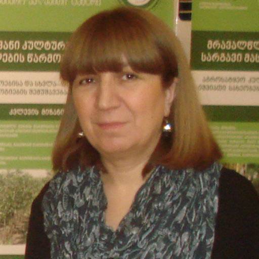 Nana Goginashvili